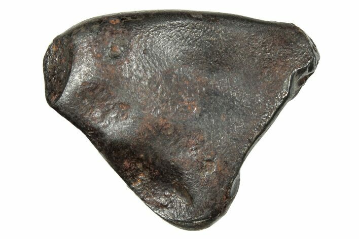 Fusion Crusted Sikhote-Alin Iron Meteorite (grams) - Russia #246932